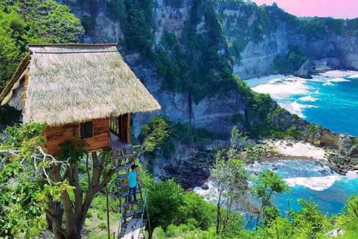 Du lịch Bali trải nghiệm căn nhà trên cây
