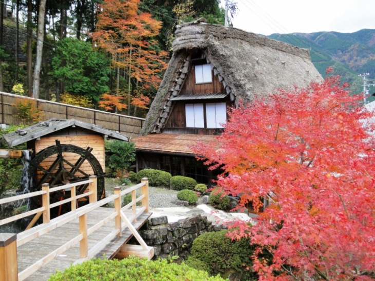 Bốn điểm tham quan mùa thu Nhật Bản tuyệt đẹp
