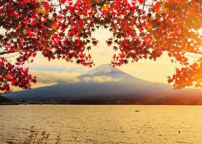 Điểm danh những địa điểm lý tưởng để chiêm ngưỡng vẻ đẹp của núi Phú Sĩ