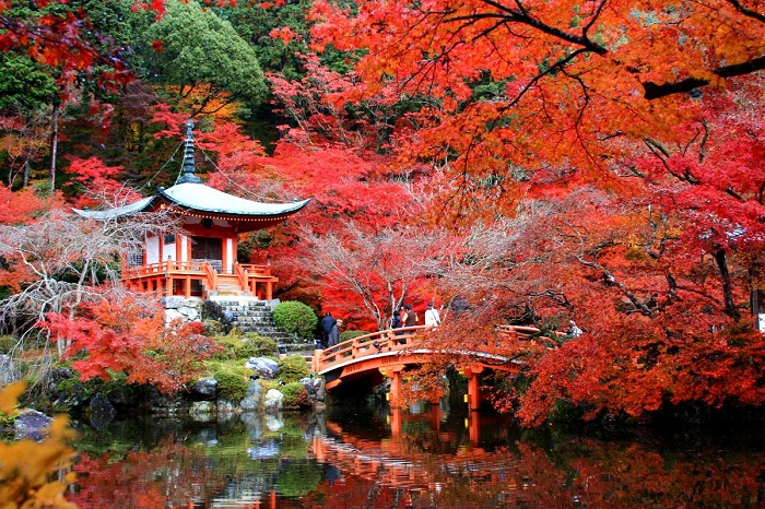 Mùa lá đỏ Nhật Bản vào tháng mấy