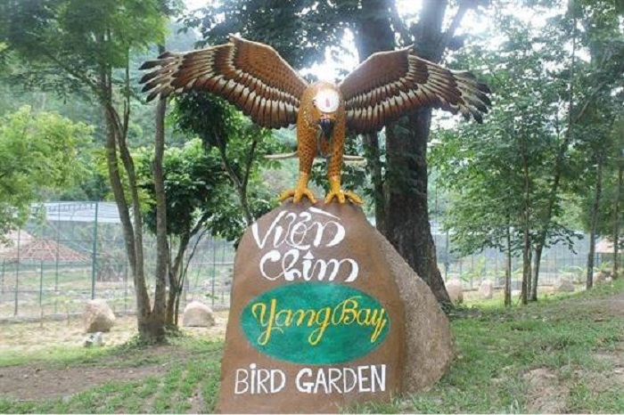 Vườn chim Yang Bay Nha Trang