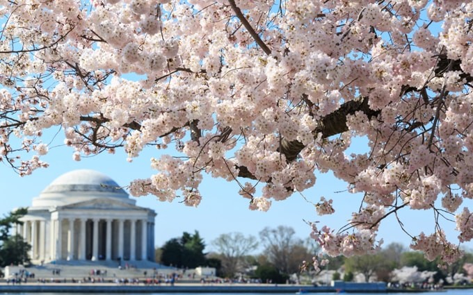 Những điều hấp dẫn khi du lịch Mỹ mùa xuân bạn cần biết