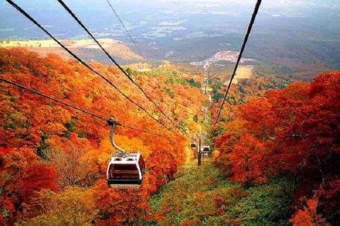 du lịch nhật bản mùa thu tham quan thành phố cổ nikko, du lịch nhật bản mùa thu tham quan thành phố cổ nikko
