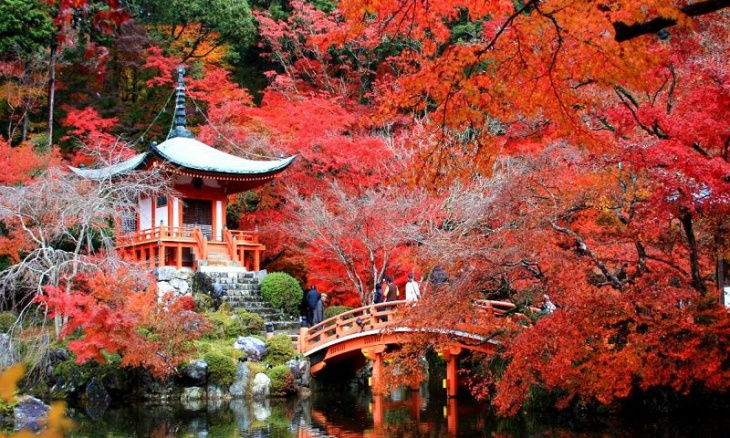 Những địa điểm ngắm mùa thu Nhật Bản đẹp nhất bạn nên biết