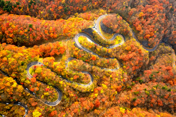Cung đường đèo 48 khúc của ở Nhật Bản mùa lá đỏ
