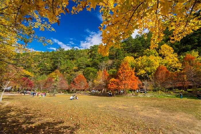 top 10 địa điểm du lịch đài loan mùa thu ngắm lá phong hấp dẫn, top 10 địa điểm du lịch đài loan mùa thu ngắm lá phong hấp dẫn