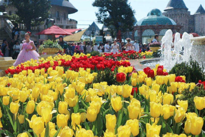 Lễ hội hoa tulip Bà Nà Hills Đà Nẵng