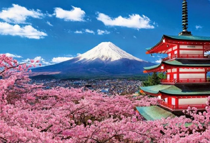 Chiêm ngưỡng vẻ đẹp hoa anh đào trên Núi Phú Sĩ
