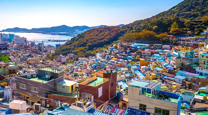 Ghé thăm làng văn hoá Gamcheon Hàn Quốc