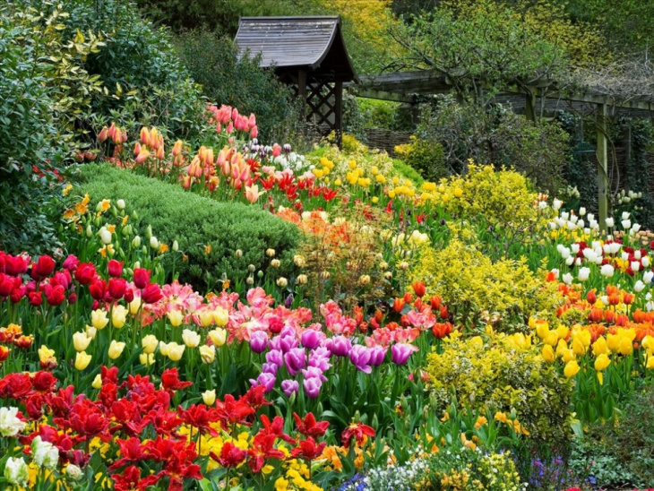 nên đi du lịch đà lạt vào tháng mấy mùa nào đẹp và hoa hoa nở rộ, nên đi du lịch đà lạt vào tháng mấy mùa nào đẹp và hoa hoa nở rộ