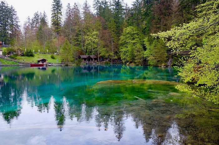 Khám phá vẻ đẹp tự nhiên của hồ Blausee - Thụy Sỹ