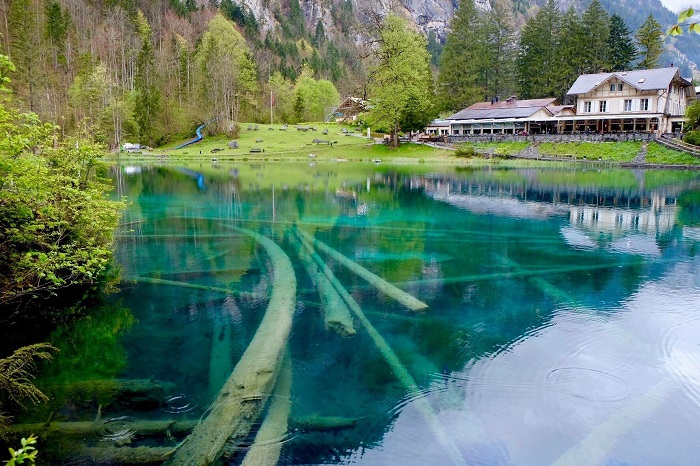 khám phá vẻ đẹp tự nhiên của hồ blausee - thụy sỹ, khám phá vẻ đẹp tự nhiên của hồ blausee - thụy sỹ