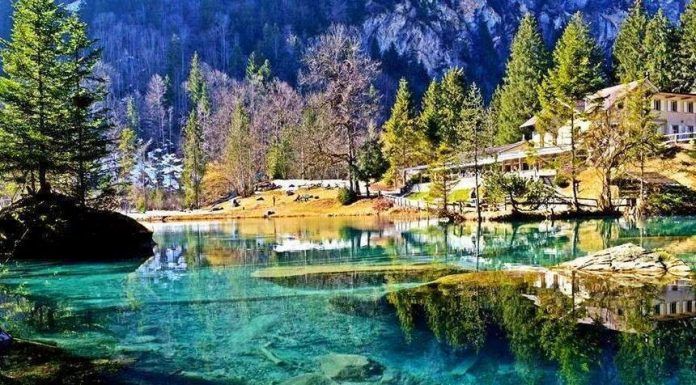 khám phá vẻ đẹp tự nhiên của hồ blausee - thụy sỹ, khám phá vẻ đẹp tự nhiên của hồ blausee - thụy sỹ