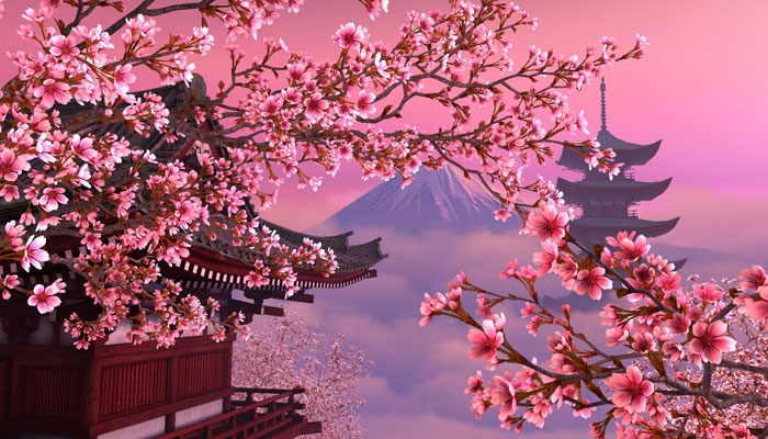 Mùa hoa anh đào - Lịch nở hoa Anh Đào Nhật Bản