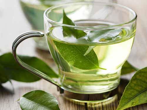 trà xanh, tác hại, tác dụng, uống, nước uống, phòng bệnh, tác dụng chính của trà xanh tác dụng phụ và cách pha chế