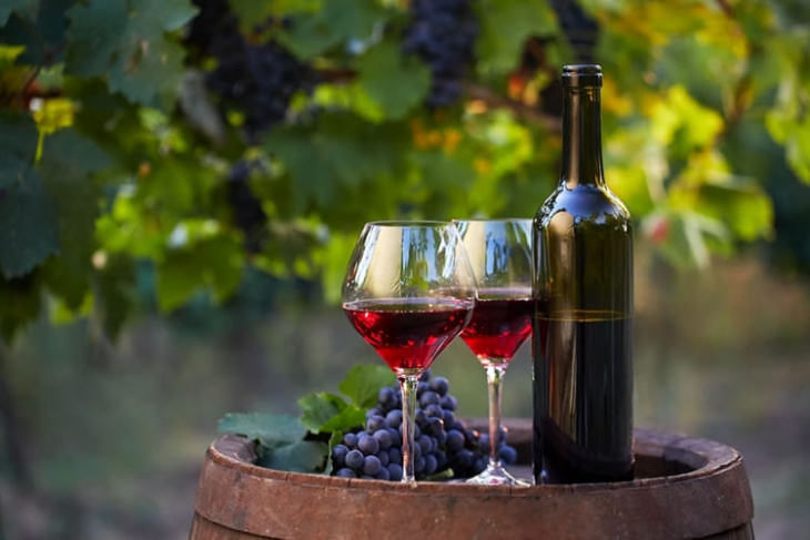 top 7 cửa hàng cung cấp rượu vang hải phòng chất lượng nhất