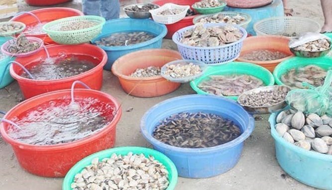 “độc đáo” chợ hải sản ăn liền đà nẵng ngon, bổ, rẻ “nức tiếng gần xa”
