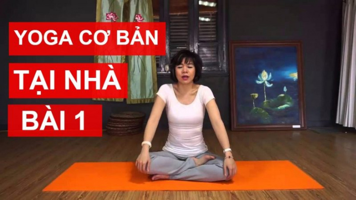 Top 15 Khóa Học Yoga Cơ Bản Online Đang Thịnh Hành Cho Người Mới Bắt Đầu