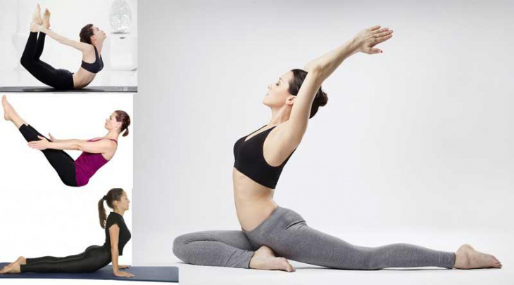 top 15 khóa học yoga cơ bản online đang thịnh hành cho người mới bắt đầu