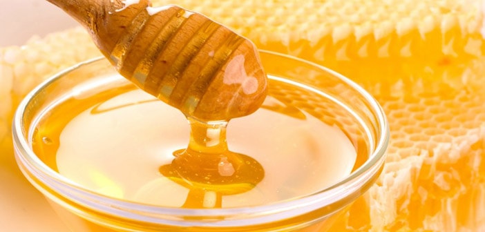 15 câu trả lời chân thực về mật ong nhãn có tác dụng gì?