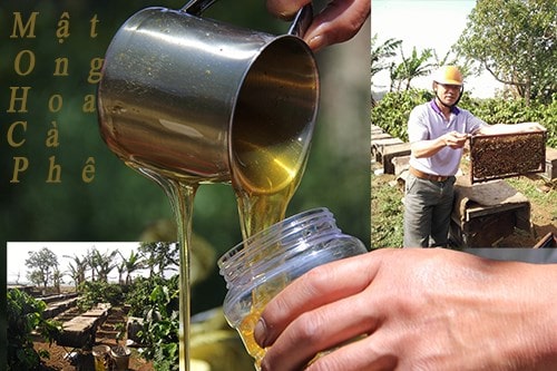 top 15 đáp án cho mật ong hoa cà phê có tác dụng gì?