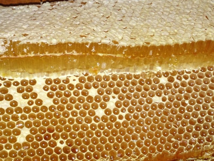 10 sự thật về mật ong hoa nhãn và hoa cà phê chắc chắn chưa biết