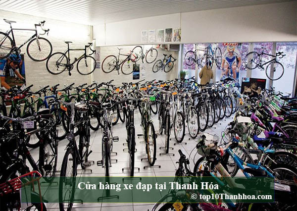 Top Các cửa hàng xe đạp chất lượng và uy tín nhất tại Thanh Hóa