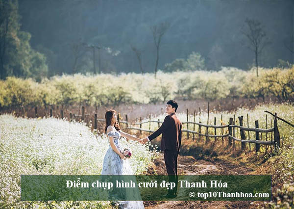 Top 10 điểm chụp hình cưới lên hình đẹp lung linh tại Thanh Hóa