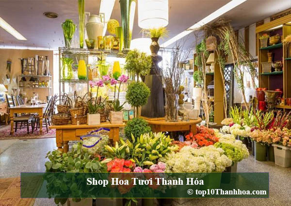 Top 10 Shop Hoa Tươi uy tín và đa chủng loại tại Thanh Hóa