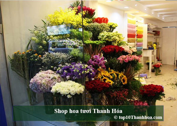 top 10 shop hoa tươi uy tín và đa chủng loại tại thanh hóa