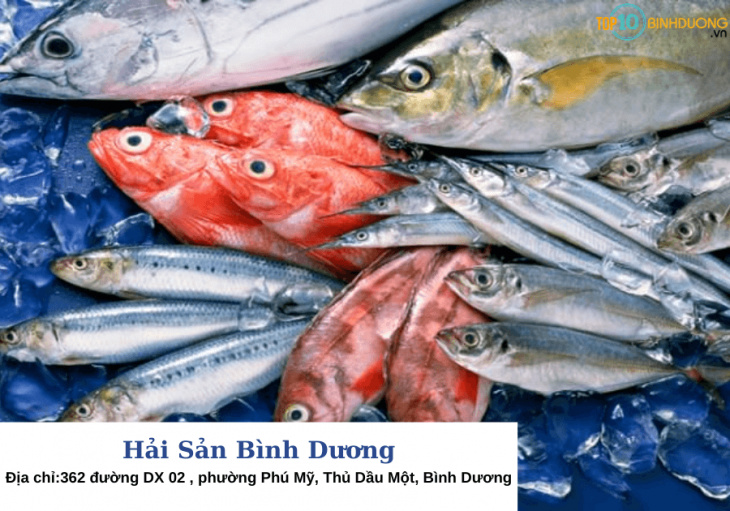 Top 10 vựa hải sản Bình Dương đủ các tiêu chí Ngon – Tươi – Rẻ