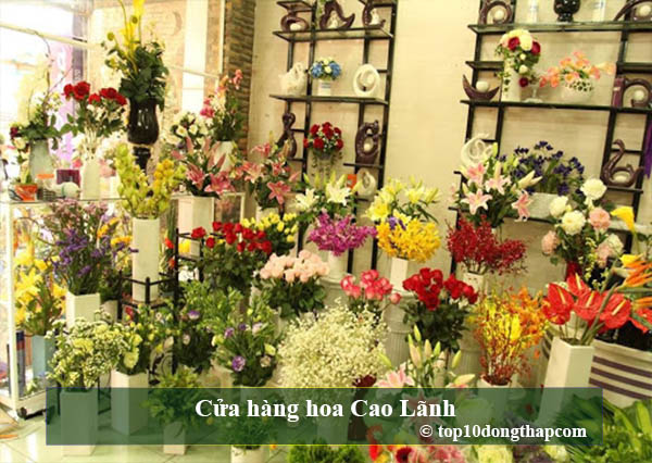 Địa chỉ cửa hàng hoa thành phố Cao Lãnh, Đồng Tháp