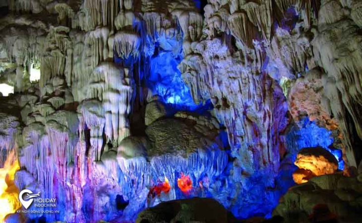 top 10 hang động đẹp phải khám phá khi đến vịnh hạ long, top 10 hang động đẹp phải khám phá khi đến vịnh hạ long
