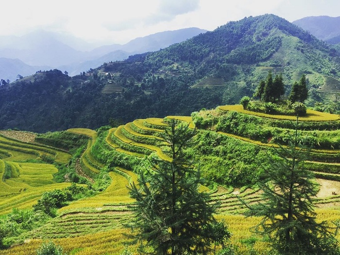 Trọn bộ kinh nghiệm du lịch Si Ma Cai – miền đất xinh đẹp của tỉnh Lào Cai