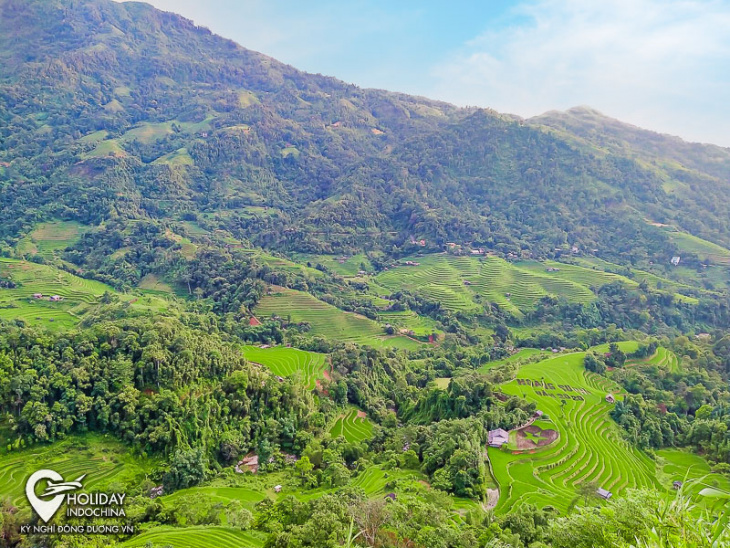 nét đẹp của hoàng su phì - hà giang mùa lúa chín