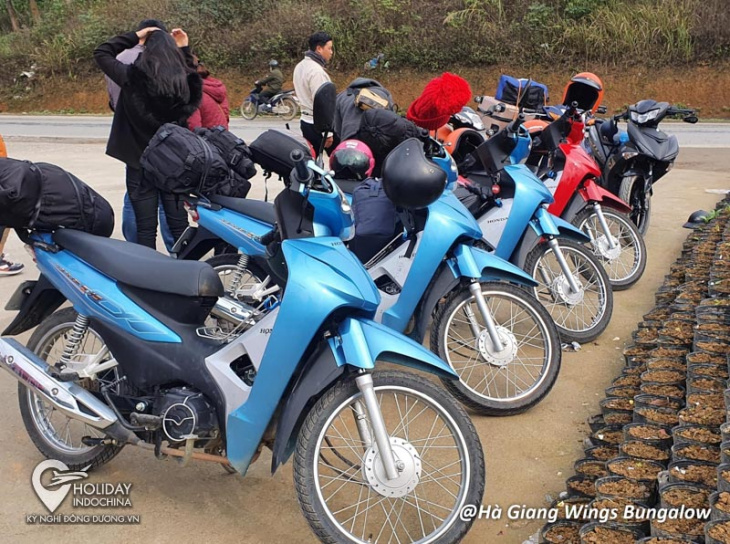 homestay hà giang wings bungalow vì sao nên lưu trú 4/2022