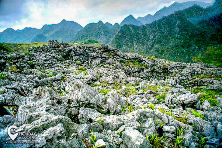 cao nguyên đá đồng văn – cổng trời mở ra ở địa đầu tổ quốc