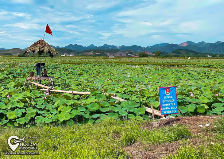 du lịch chùa hương có điểm check-in nào đẹp?