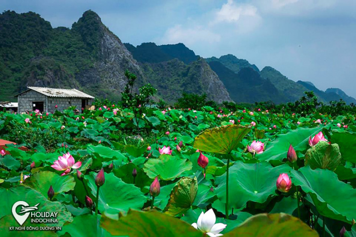 du lịch chùa hương có điểm check-in nào đẹp?