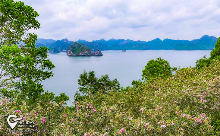 Những hòn đảo và bãi biển đẹp nhất tại Hạ Long
