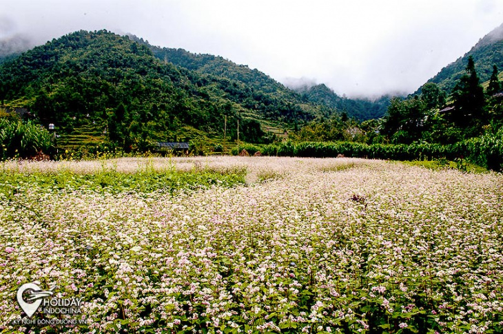 phố cáo - miền đất giản dị của hà giang