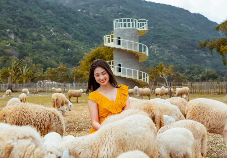 Đồng cừu Suối Tiên: Điểm tham quan nổi tiếng của Ninh Thuận