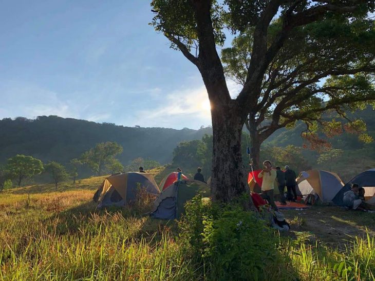 vườn quốc gia núi chúa: kinh nghiệm cắm trại, trekking du lịch a – z