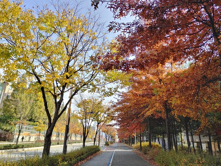 thành phố jeonju nơi khơi nguồn của văn hóa và ẩm thực hàn quốc