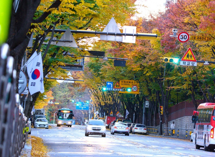mùa thu đượm màu cổ kính tại thành phố gunpo tỉnh gyeonggi