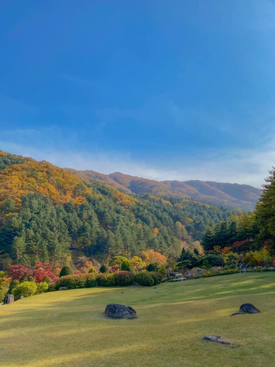 morning calm khu vườn cổ tích rực rỡ sắc màu tại gayeong