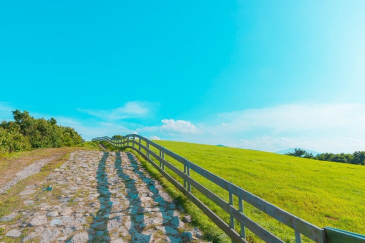 lạc lối giữa thảo nguyên bạt ngàn xanh mát tại đồi cừu daegwallyeong