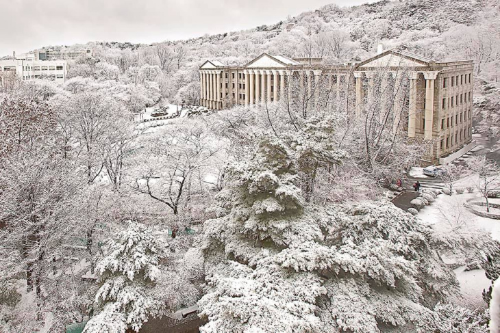đại học kyung hee đẹp đến nao lòng trong những ngày tuyết đầu mùa