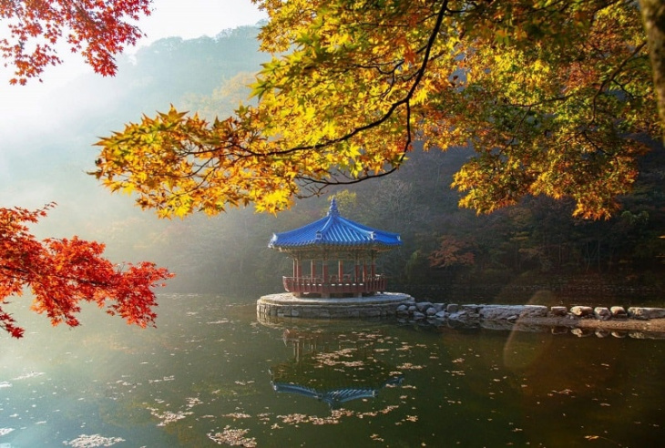 dạo bước trong khung cảnh mùa thu tuyệt đẹp tại naejangsan tỉnh jeollabuk