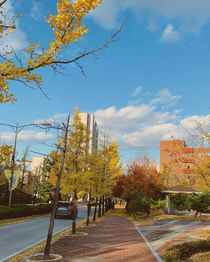 đẹp ngỡ ngàng mùa thu tại đại học jeonju qua lăng kính du học sinh